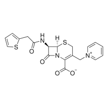 Cephaloridine