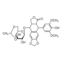 Etoposide