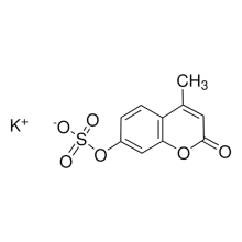 4-Methylumbelliferone sulfate