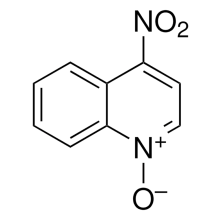 4-Nitroquinoline-N-oxide