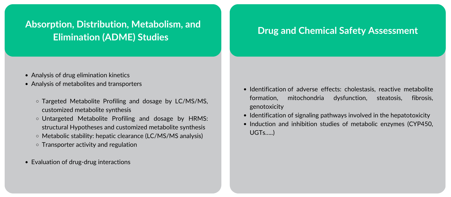 Our services on HepaSH human hepatocytes